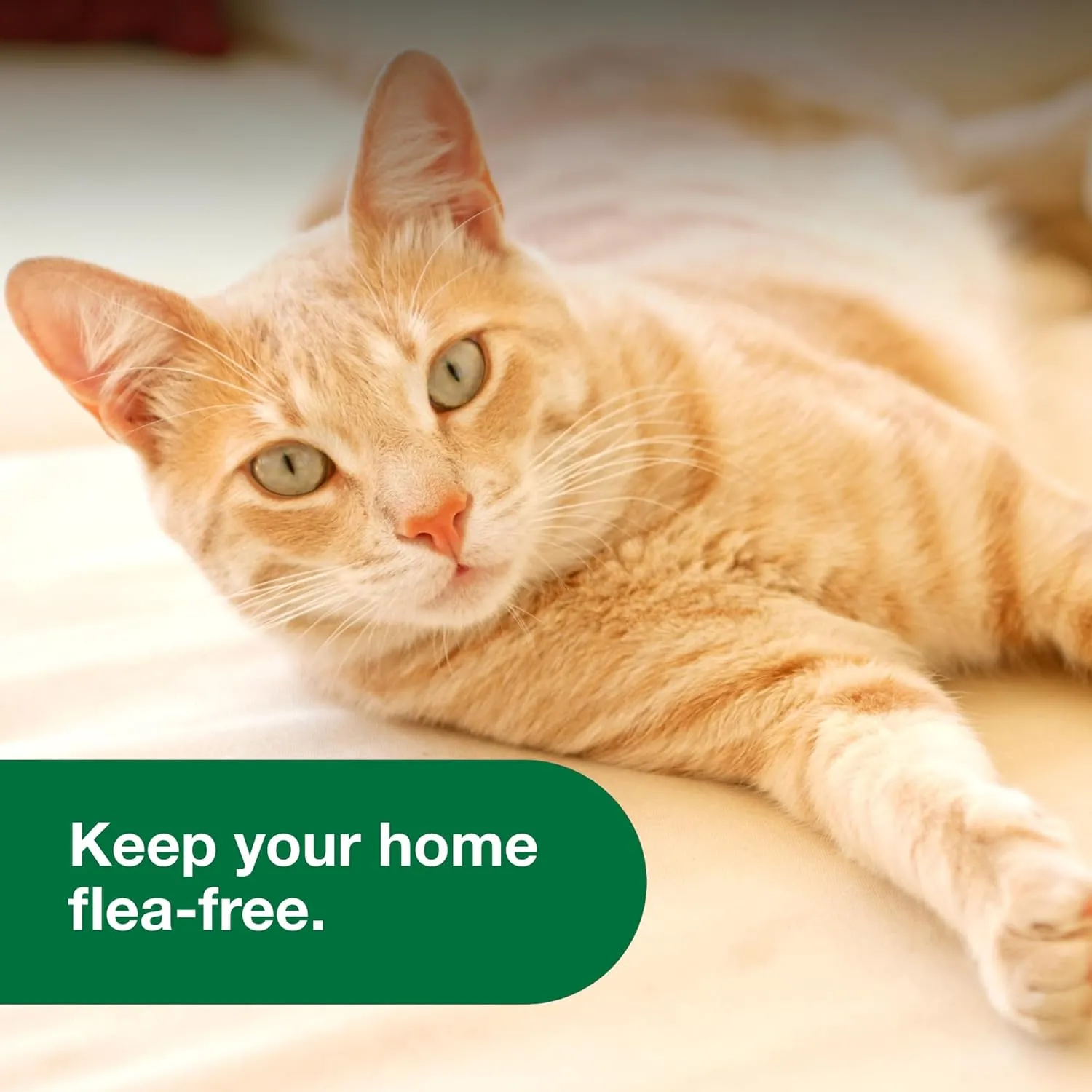 Advantage II Cats Flea & Tick