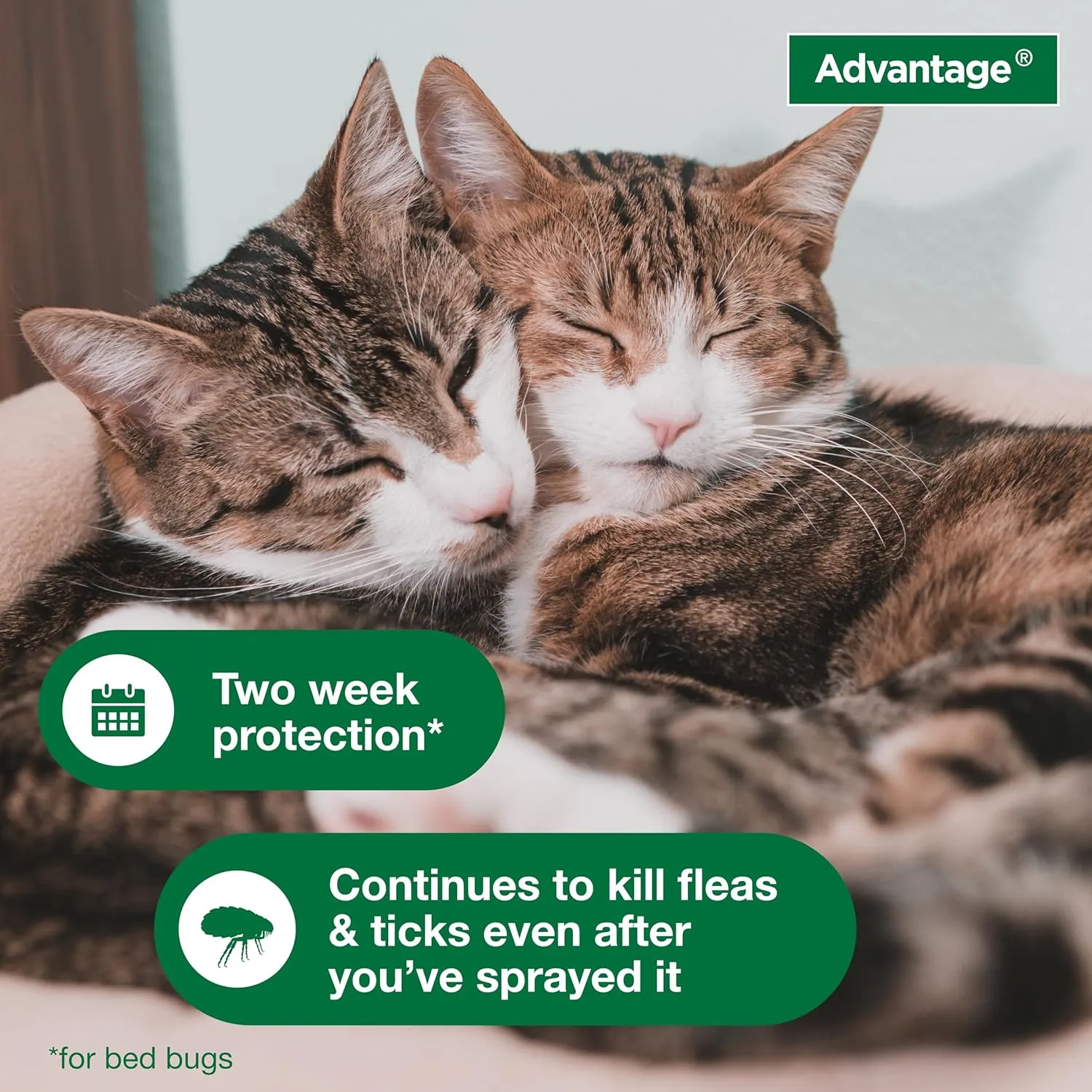 Advantage II Cats Flea & Tick