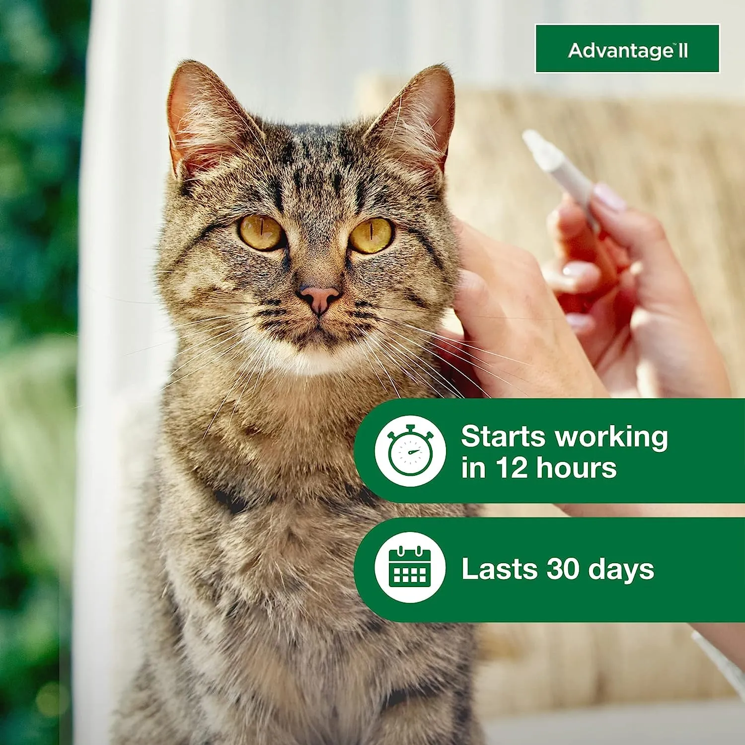 Advantage II Cats Flea & Tick