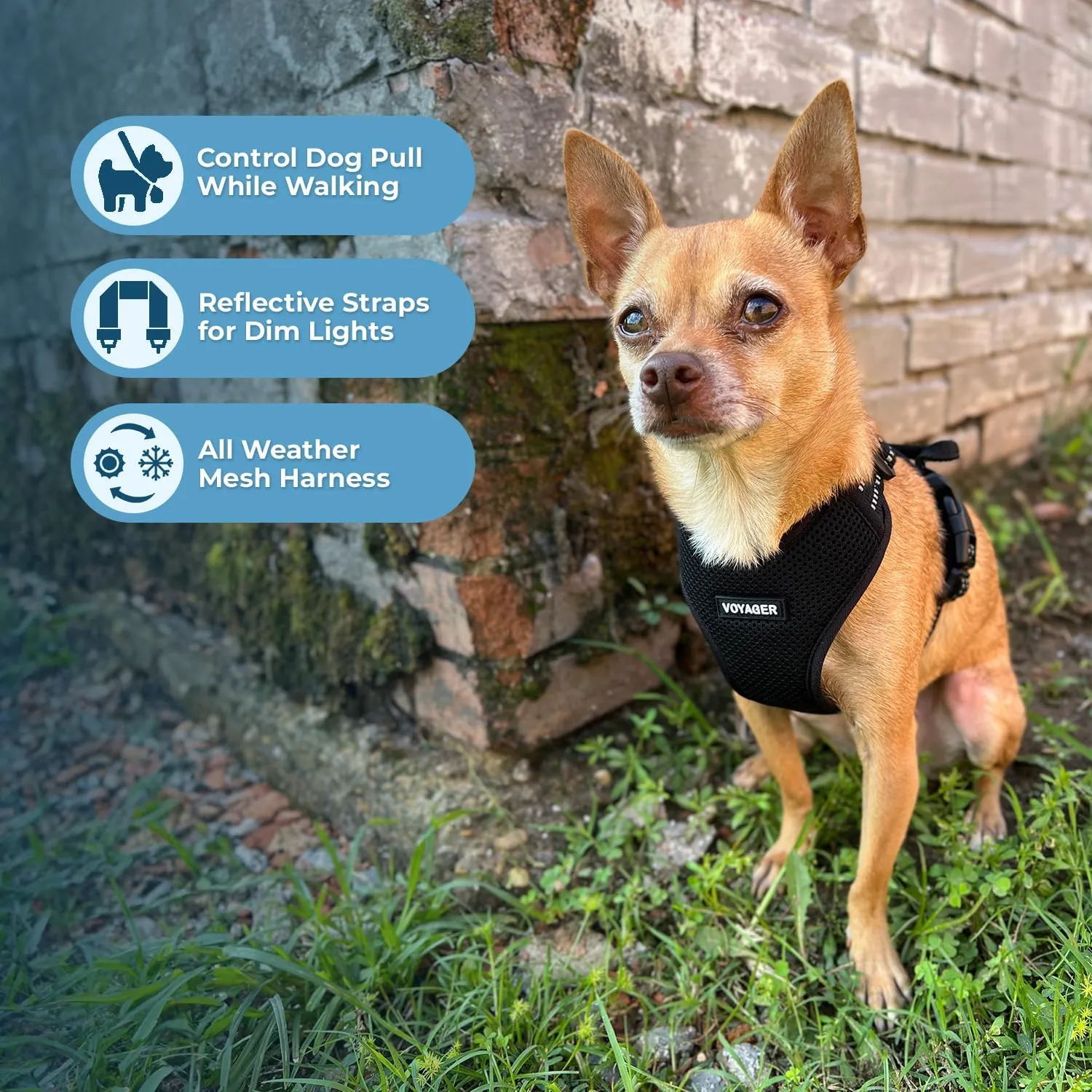 Air Frontier Mesh Dog Harness with and Reflective Dog Leash Set, Reflective Stitching, and Lightweight Breathable No-Pull Design, Adjustable Neck and Chest Straps for Small to Large Breeds - BUW, S