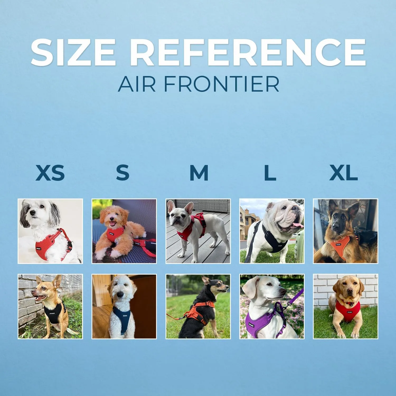 Air Frontier Mesh Dog Harness with and Reflective Dog Leash Set, Reflective Stitching, and Lightweight Breathable No-Pull Design, Adjustable Neck and Chest Straps for Small to Large Breeds - BUW, S