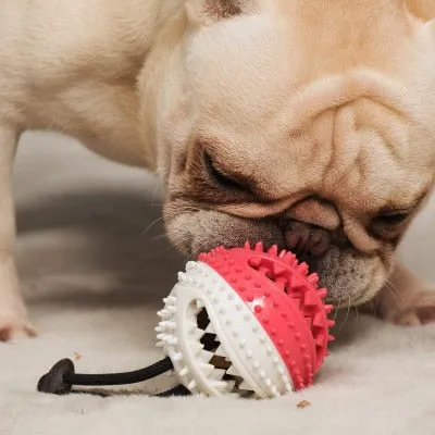 Best Dog Toys Silicone Suction Cup Tug Interactive Dog Ball Chew Bite