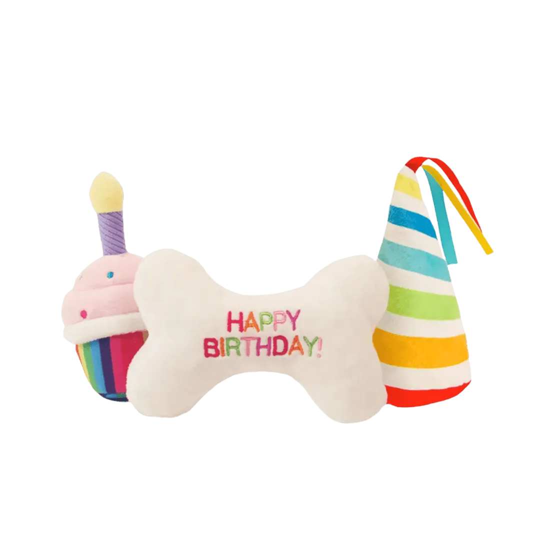 Birthday Party Combo
