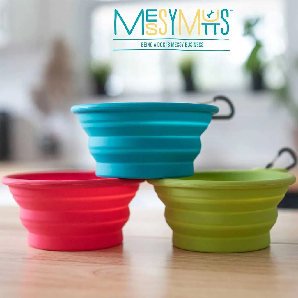 Blue Silicone Collapsible Bowl