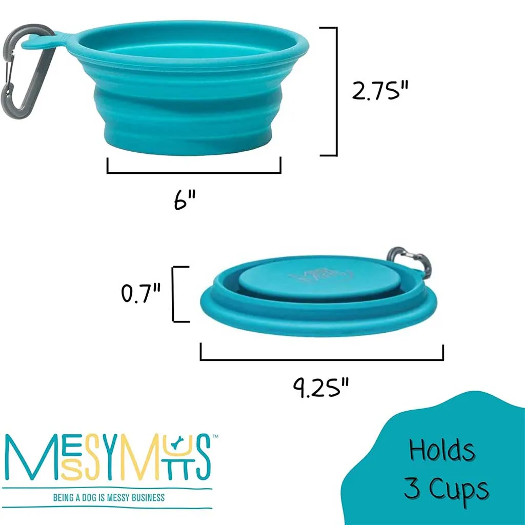 Blue Silicone Collapsible Bowl