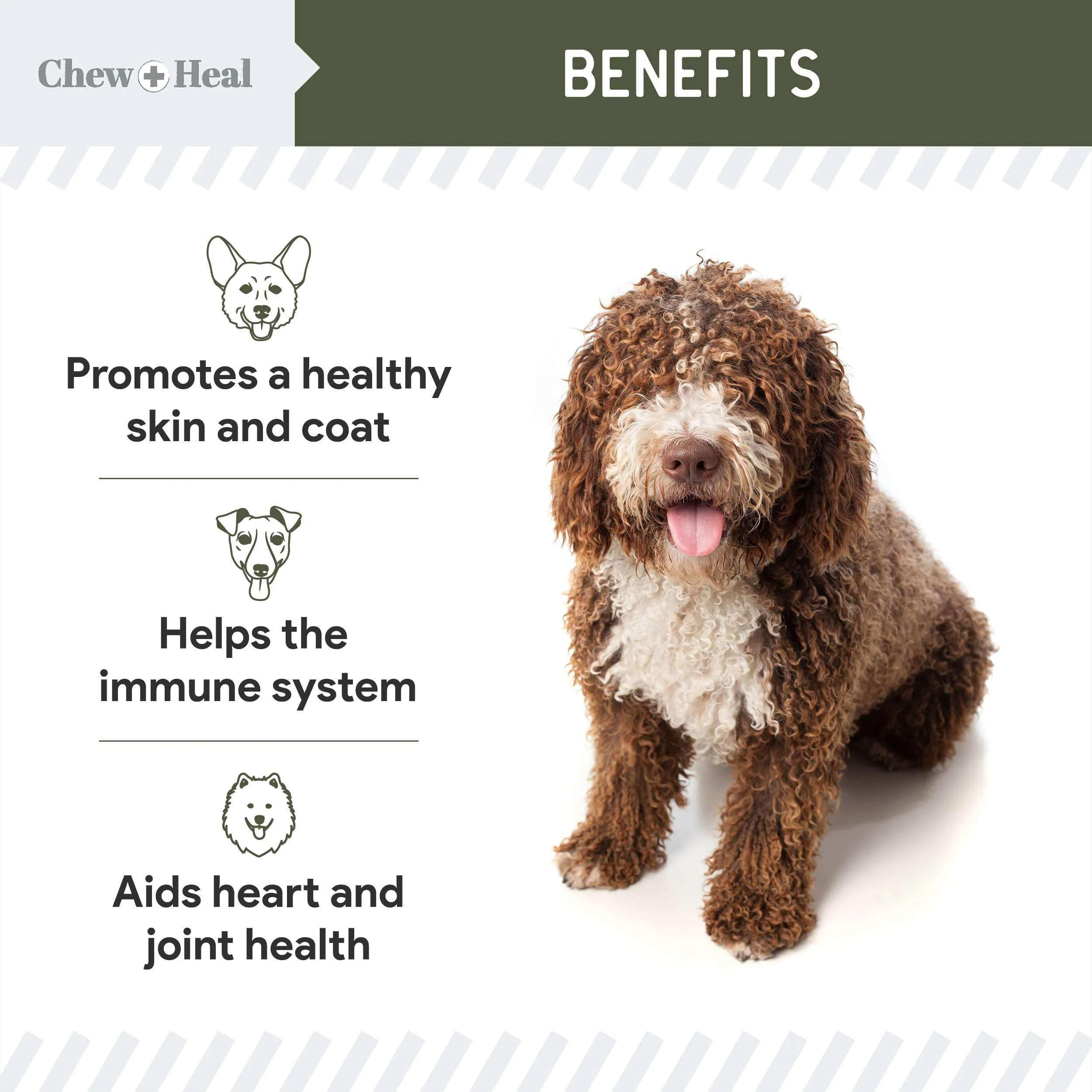 Chew   Heal Pure Cod Liver Oil for Dogs - 16 oz - Pump Bottle