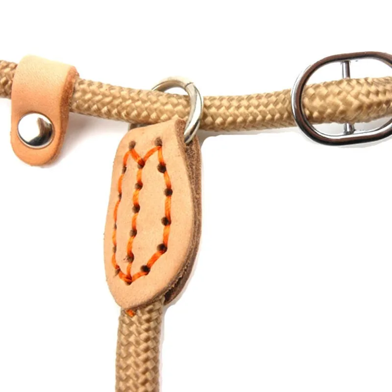 Dog Leash Slip Rope Lead Leash Heavy Duty Braided Rope Adjustable Loop