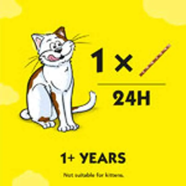 Dreamies Meaty Sticks With Chicken 30g - Case of 14