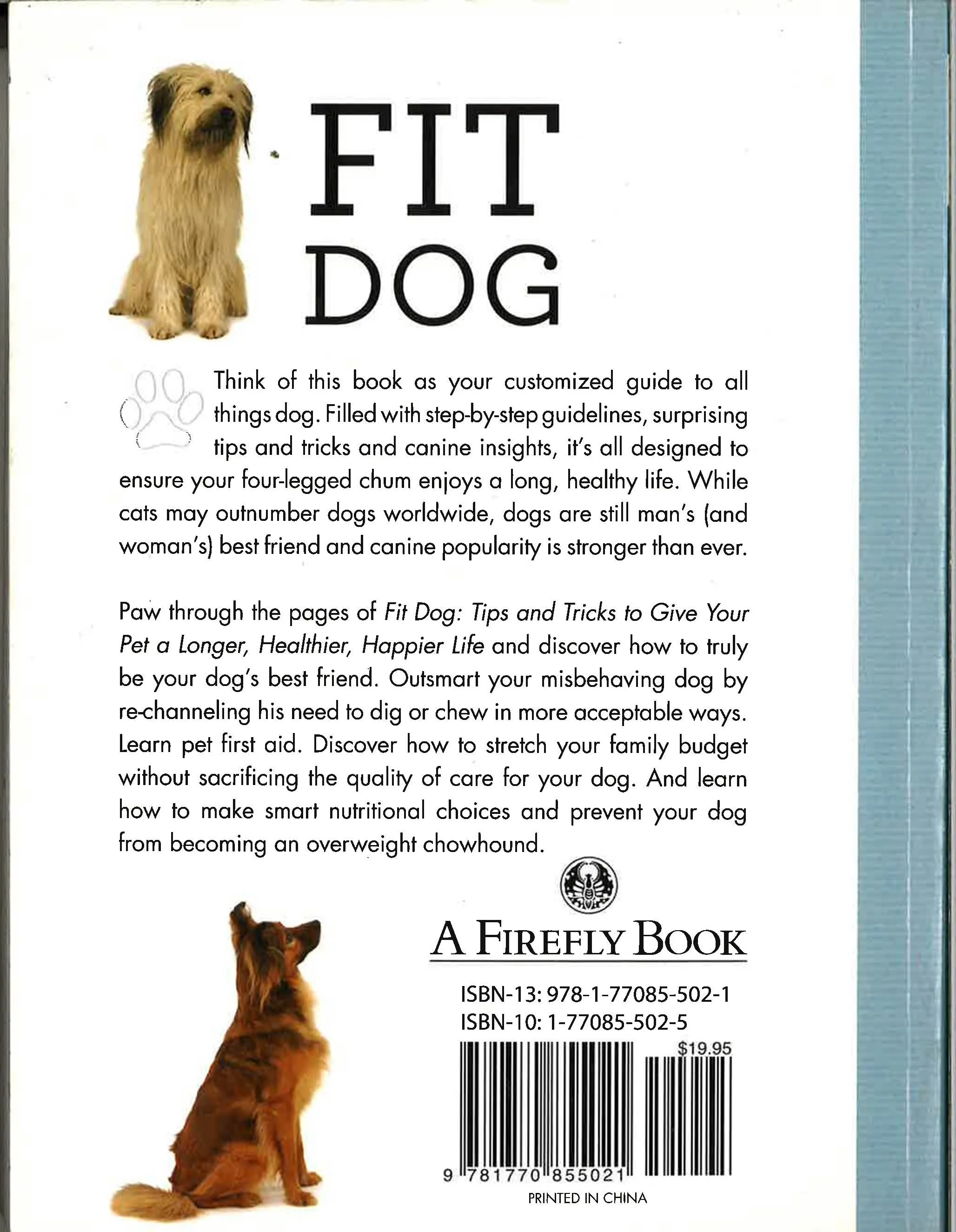 Fit Dog