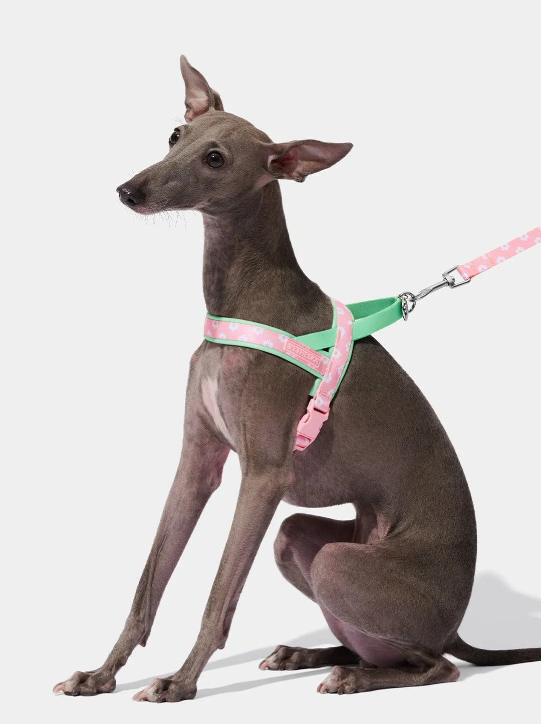 Flora Pet Walk Kit (Harness, Leash & Poop Bag Dispenser)