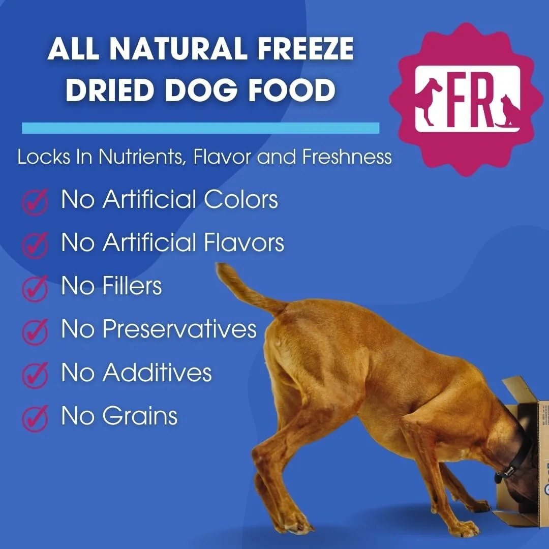 Freeze-Dried Raw Dog Food  Beef  High Protein, Grain-Free, No Fillers or Additives, Complete Meal or Mixer, Supports Healthy Digestion, Joints, and Coat  1.55 lb