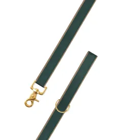 Green on Tan Suede Dog Leash
