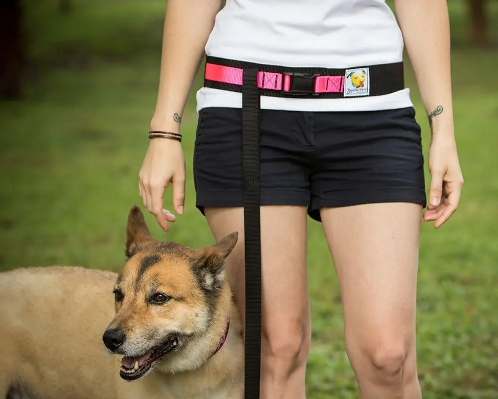 Hands Free Dog Leash Belt - Medium-Large - Neon Orange