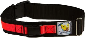 Hands Free Dog Leash Belt - Medium-Large - Neon Orange