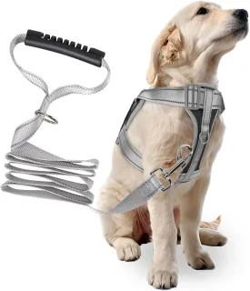 Heavy Duty No-Pull Dog Harness and Leash Set for Large Dogs - Reflective Adjustable Training Vest with Handle, Oxford Fabric, Easy Control (Black, Size L)