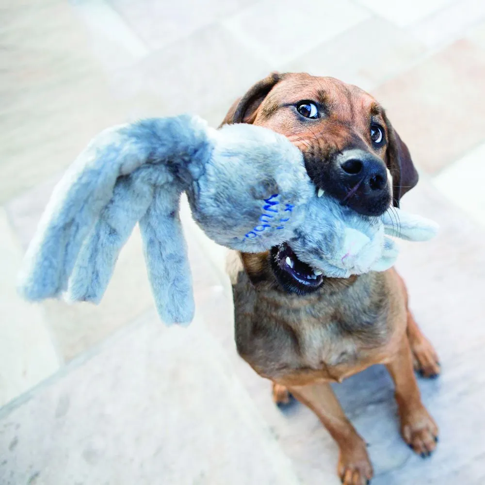 Kong Wubba Friends Dog Toy