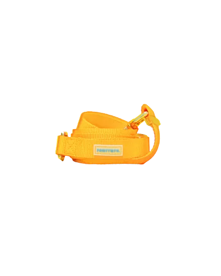 Leash For Pets