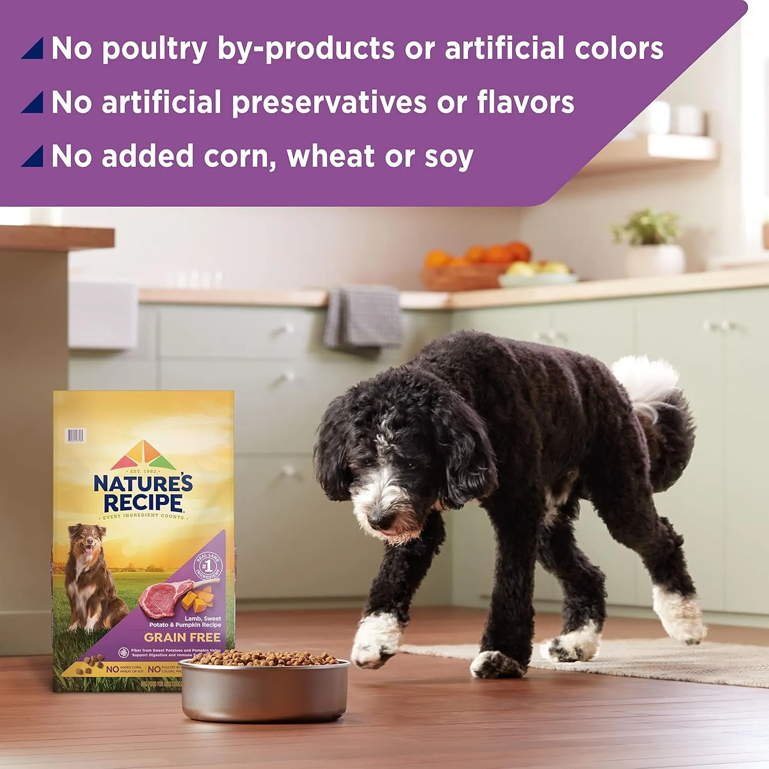 Natures Recipe Grain Free Lamb, Sweet Potato & Pumpkin Recipe Dry Dog Food, 12 lb. Bag