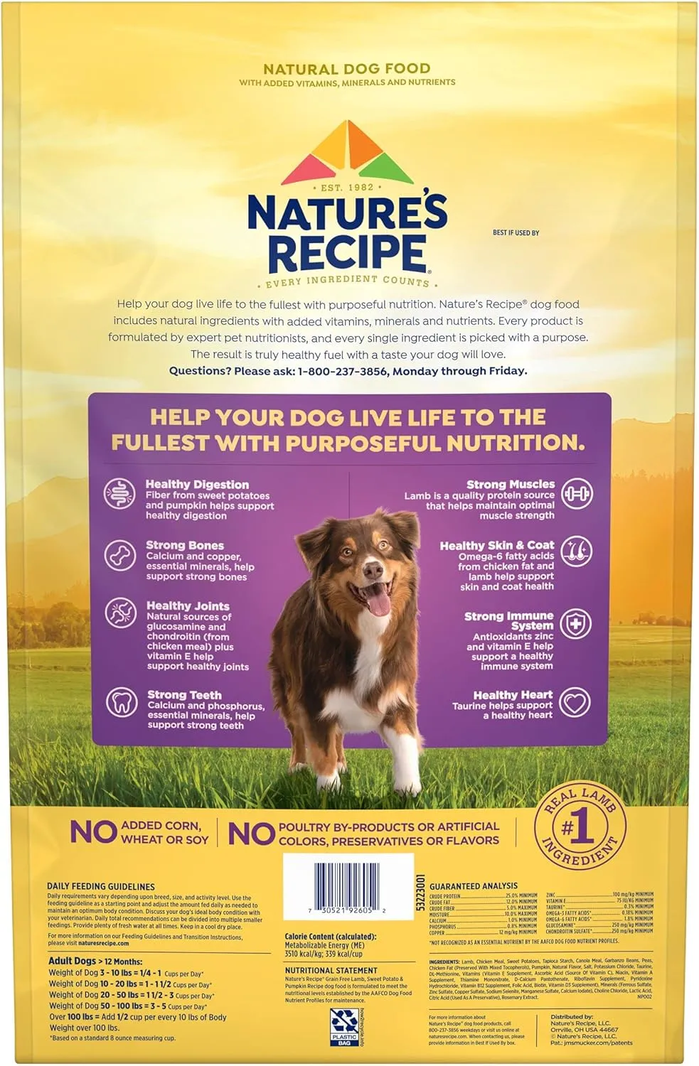 Natures Recipe Grain Free Lamb, Sweet Potato & Pumpkin Recipe Dry Dog Food, 12 lb. Bag