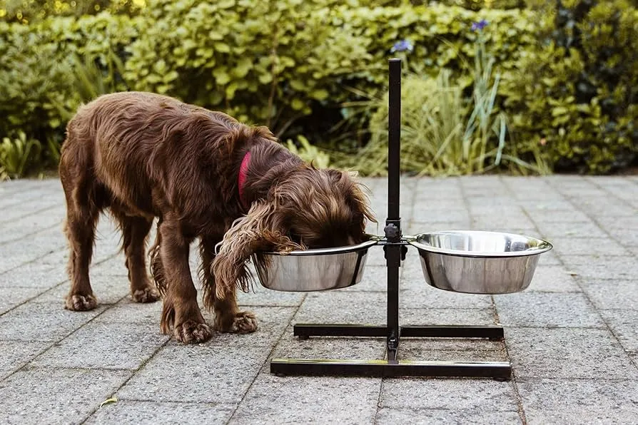 Nobby | Double Raised Dog Feeding Station Food Bar with 2 Stainless Steel Bowls