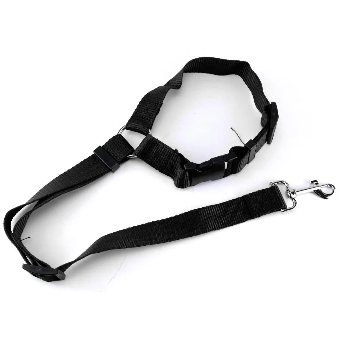 Pet Dog Mystery Box Deal