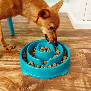 Pet Dog Mystery Box Deal