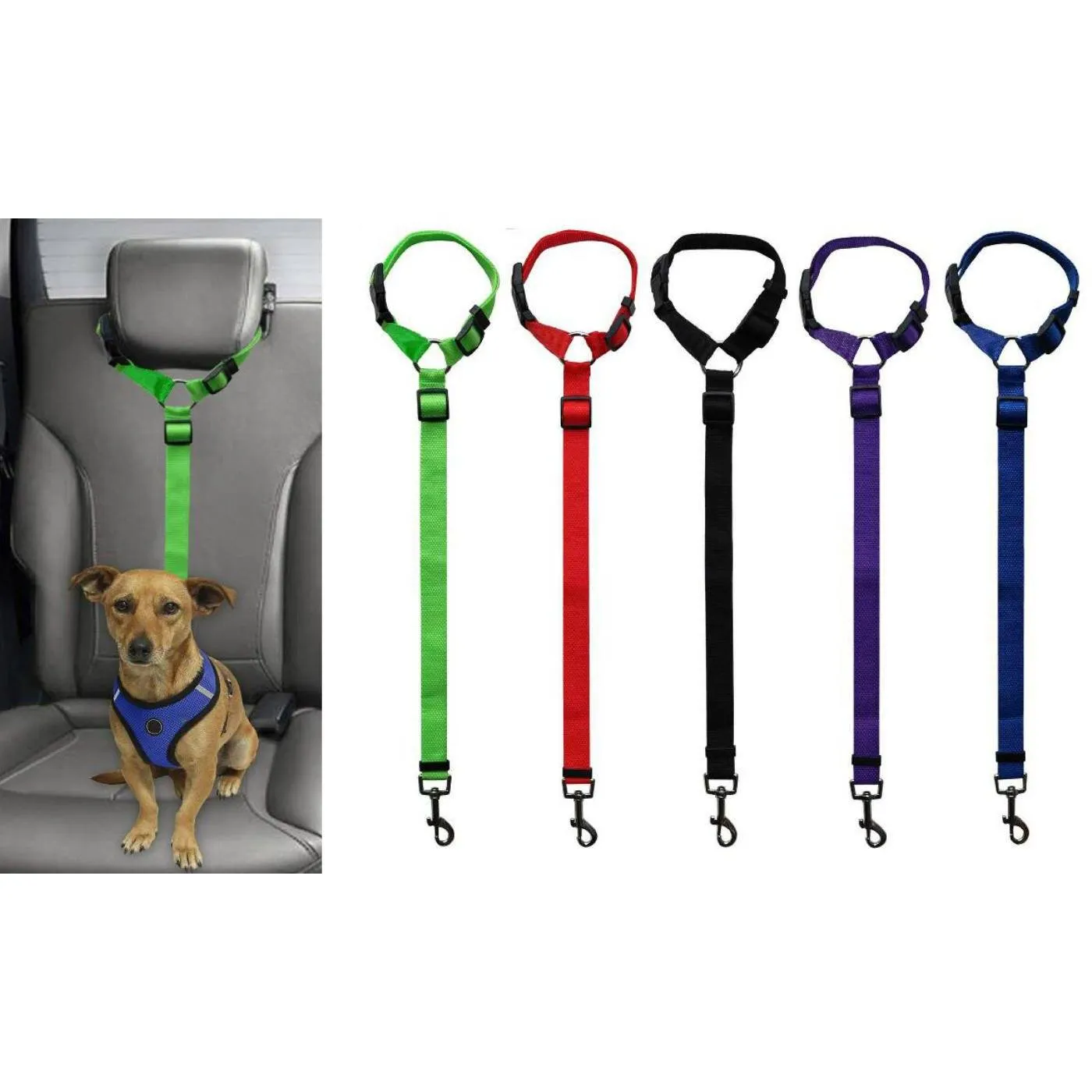 Pet Dog Mystery Box Deal
