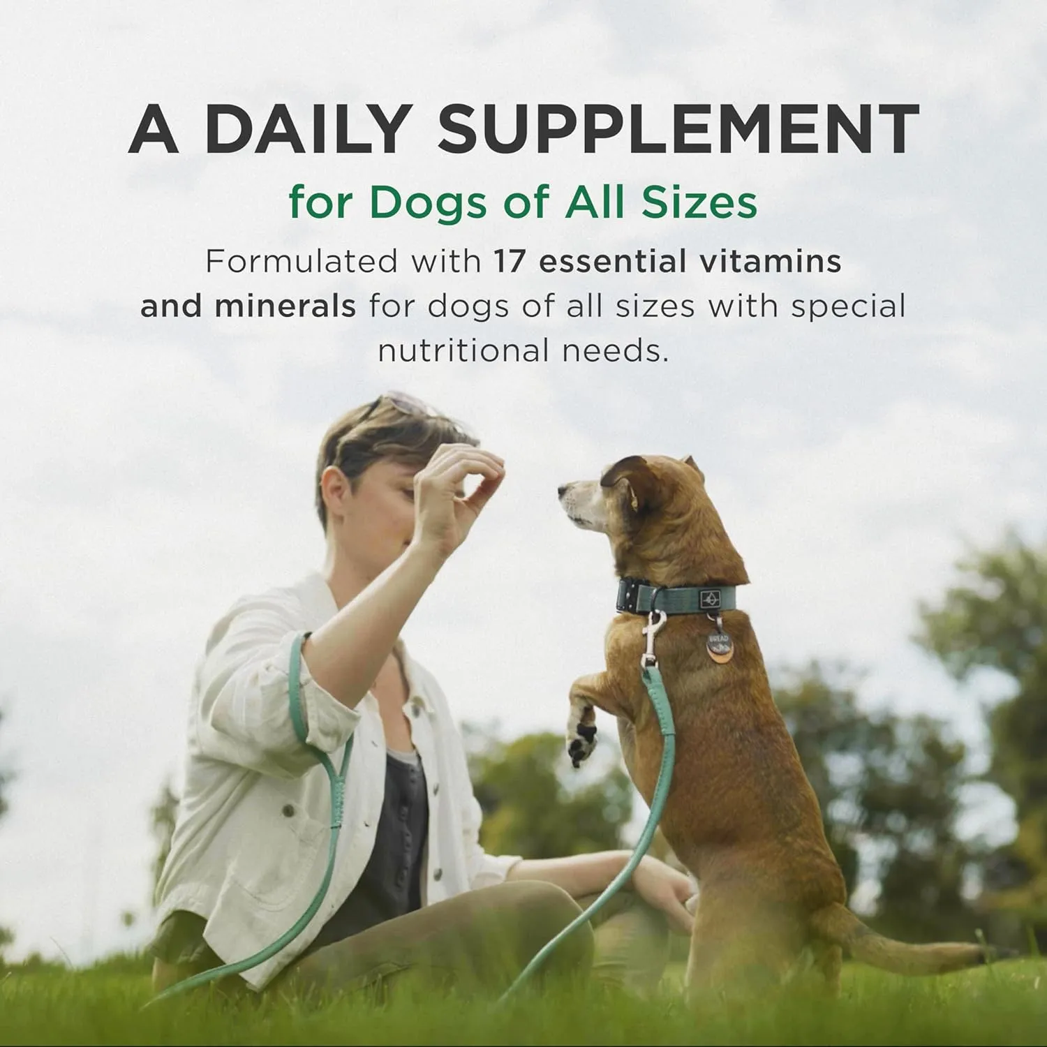 Pet-Tabs Multivitamin and Mineral Supplement for Dogs, Chewable Tablet, 60 Count Bottle