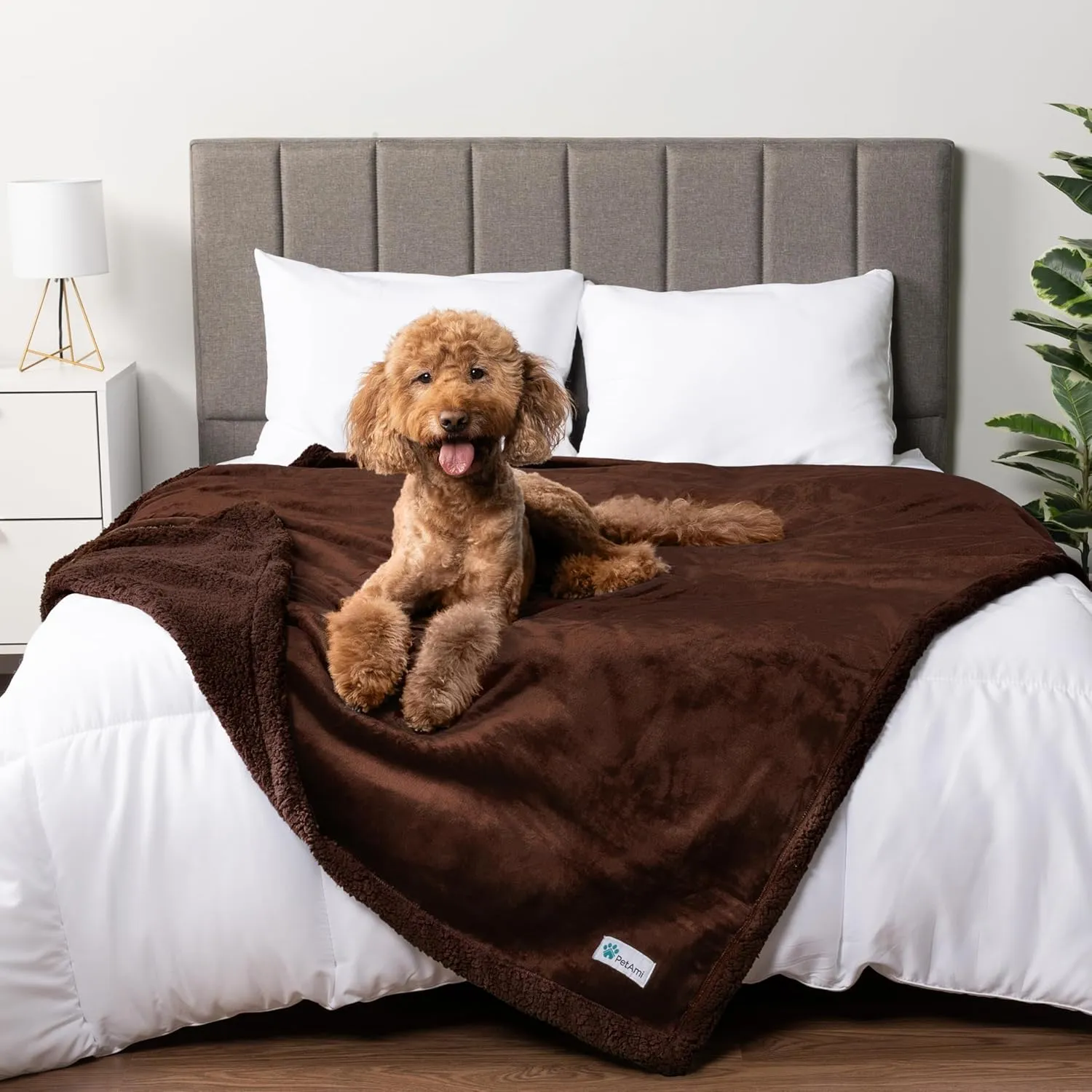 PetAmi Waterproof Dog Blanket for Medium Large XL Dog Puppy Cat Throw for Couch Cover Leakproof Protection, Sherpa Fleece, Reversible Soft Washable 80x60 Brown Brown