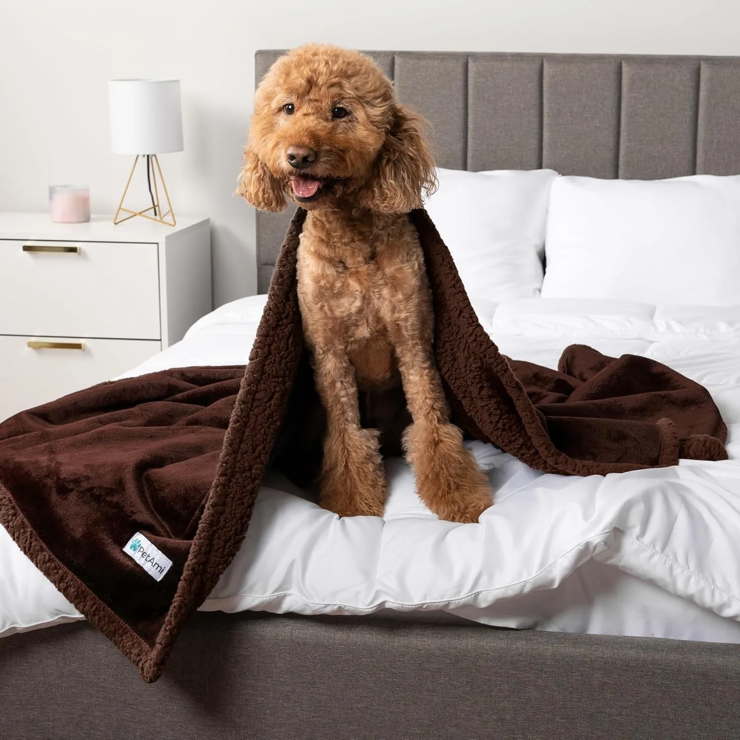 PetAmi Waterproof Dog Blanket for Medium Large XL Dog Puppy Cat Throw for Couch Cover Leakproof Protection, Sherpa Fleece, Reversible Soft Washable 80x60 Brown Brown