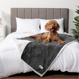 PetAmi Waterproof Dog Blanket for Medium Large XL Dog Puppy Cat Throw for Couch Cover Leakproof Protection, Sherpa Fleece, Reversible Soft Washable 80x60 Charcoal Gray
