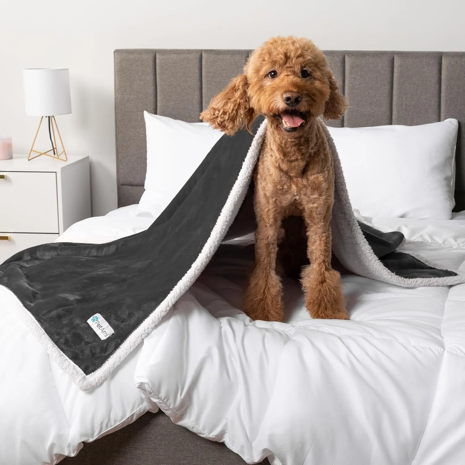 PetAmi Waterproof Dog Blanket for Medium Large XL Dog Puppy Cat Throw for Couch Cover Leakproof Protection, Sherpa Fleece, Reversible Soft Washable 80x60 Charcoal Gray