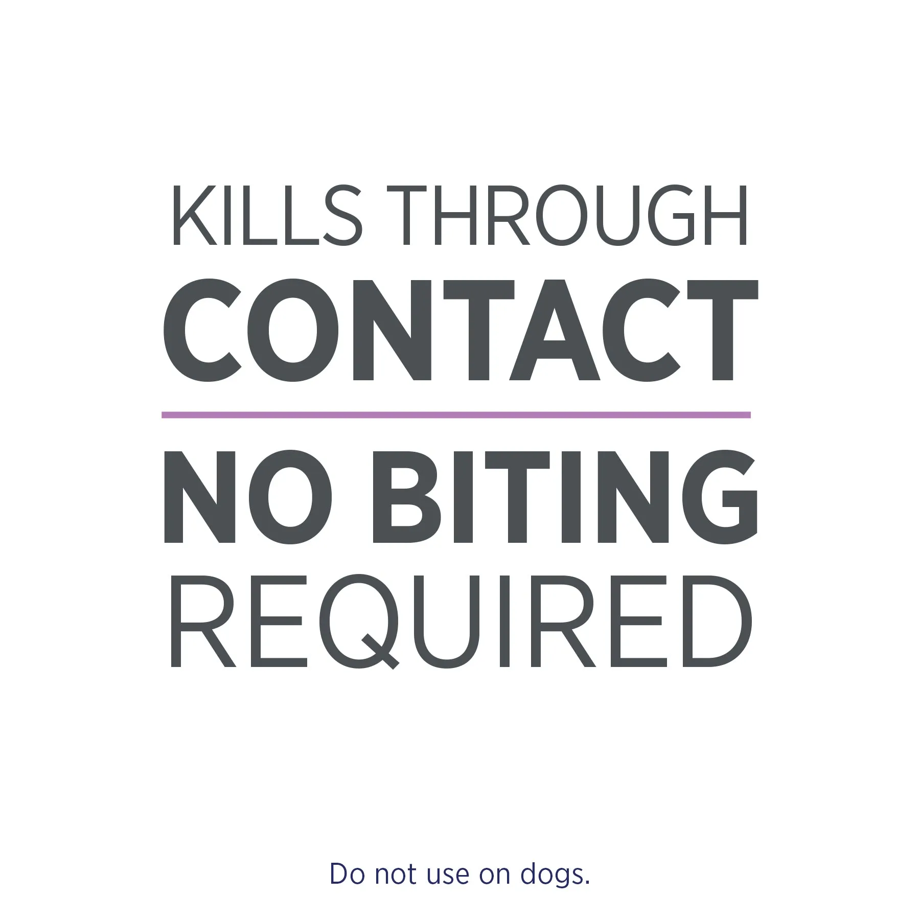 Praventa Topical Flea Protection Treatment for Cats