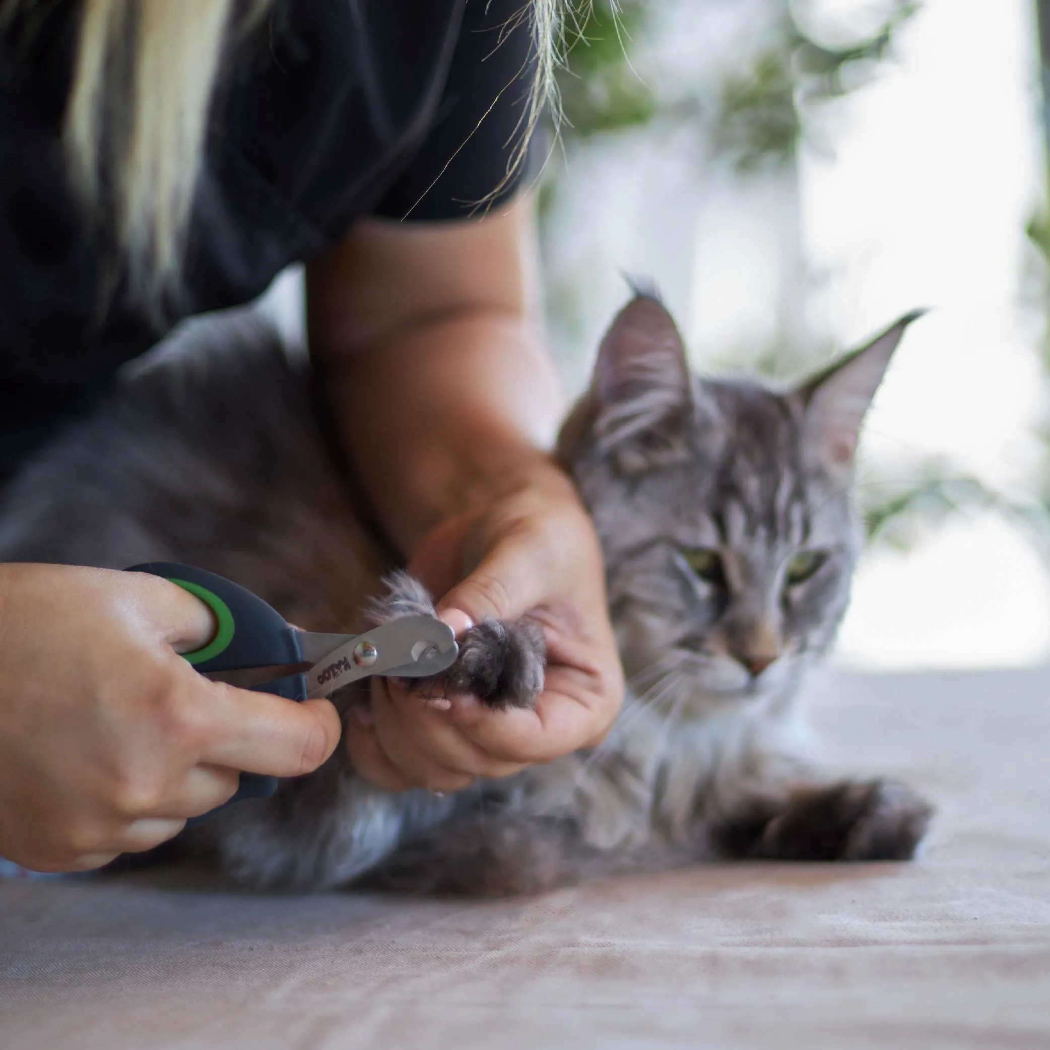 Puppy & Cat Nail Clipper