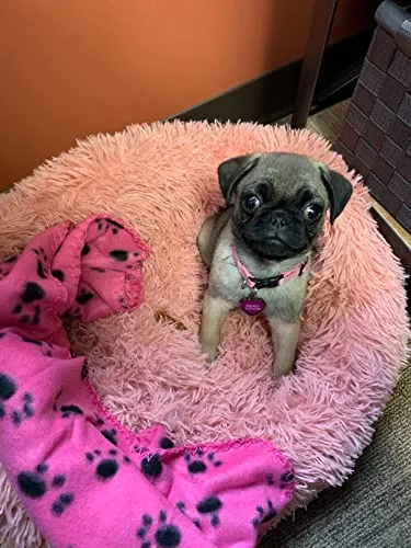 Puppy Bed for Small Dogs Pink Small Pet Bed with Blanket Washable Calming Faux Fur Burrow Doggie Beds for Chihuahua Cat Kitten