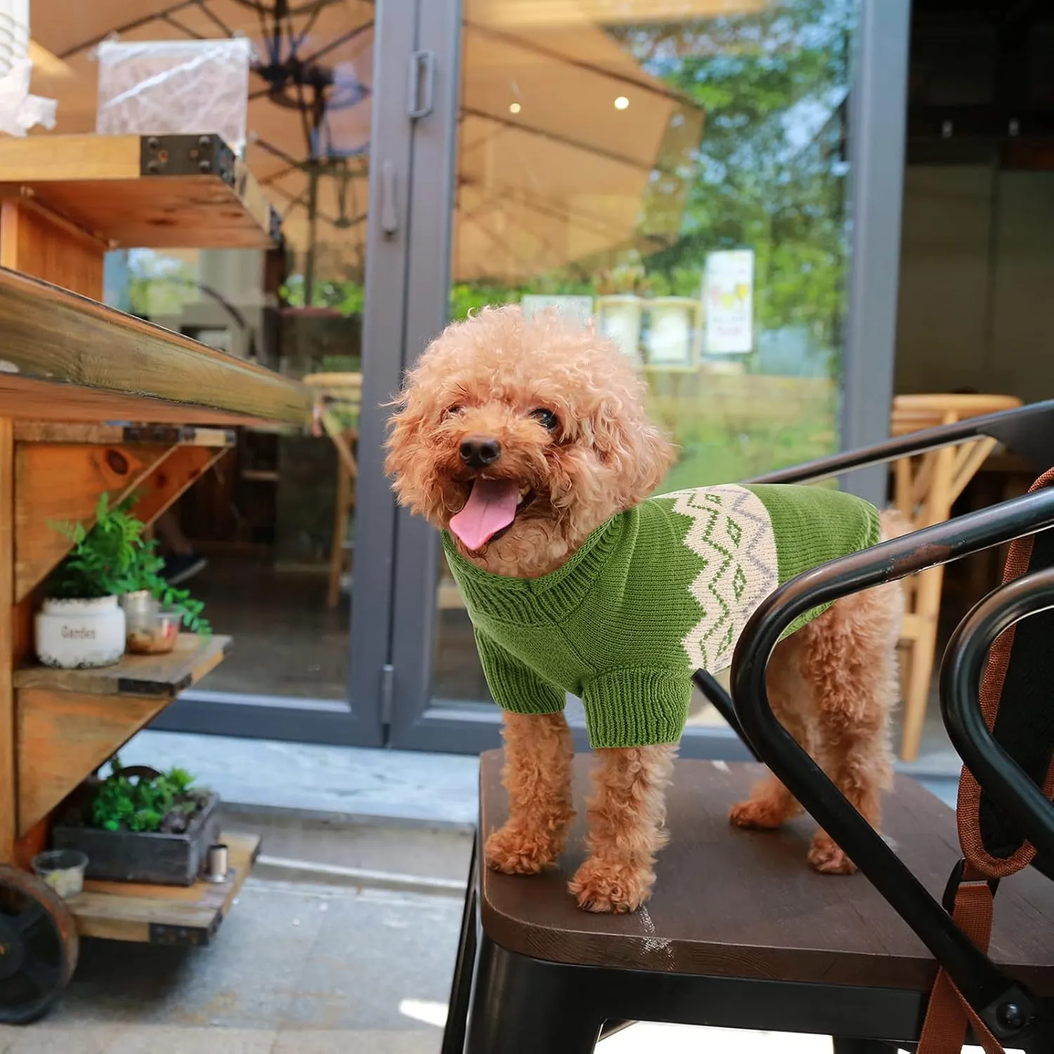 Queenmore Warm Dog Sweater, Soft Pet Knitwear, Knitted Pullover, Winter Pet Clothes for Small Medium Dogs Cats Black