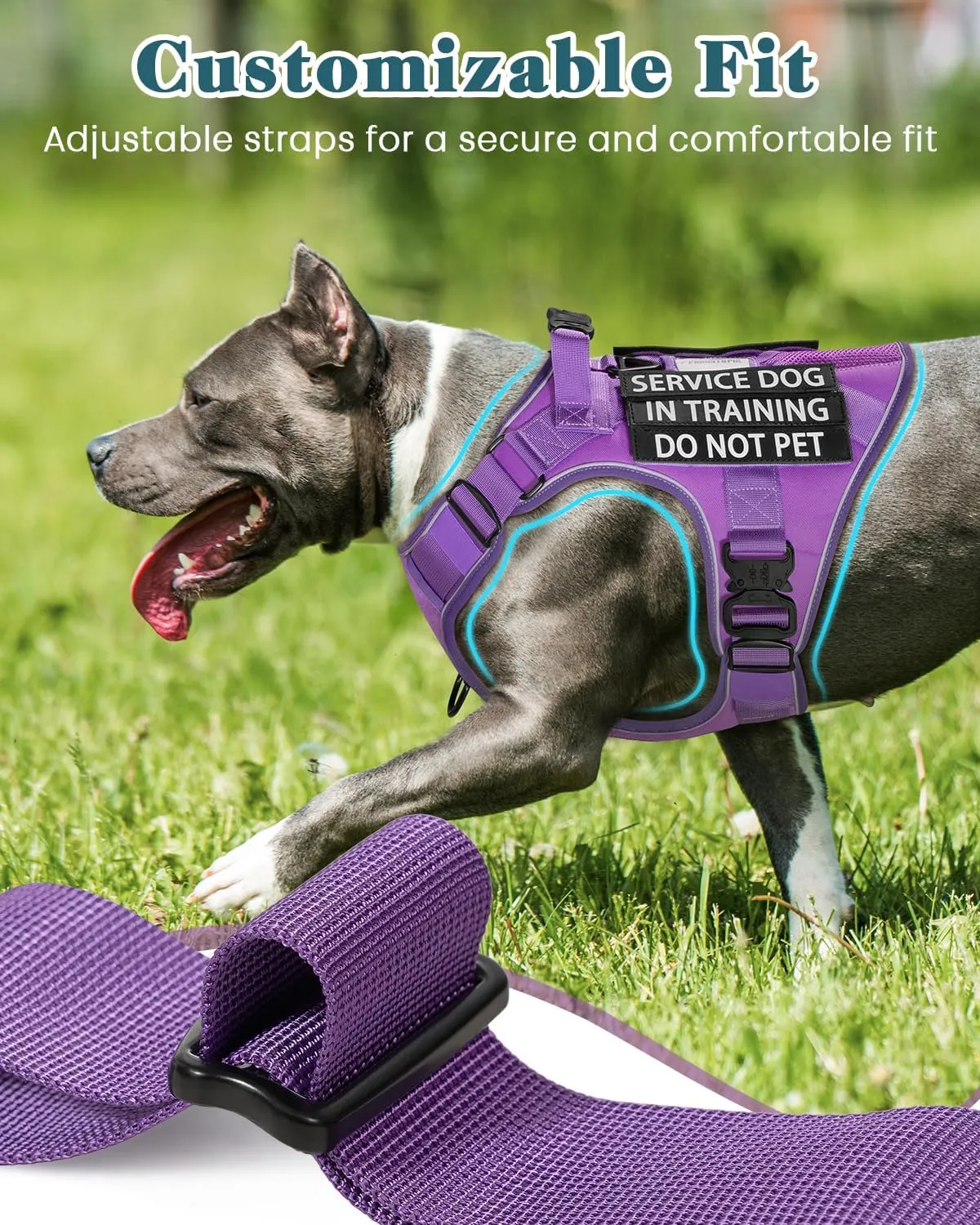 Reflective Service Dog in Training Vest Harness for Medium Large Dogs, Adjustable Heavy Duty Padded Purple Dog Harness, with Front Clip and Metal Buckles Do Not Pet for Training, Hiking