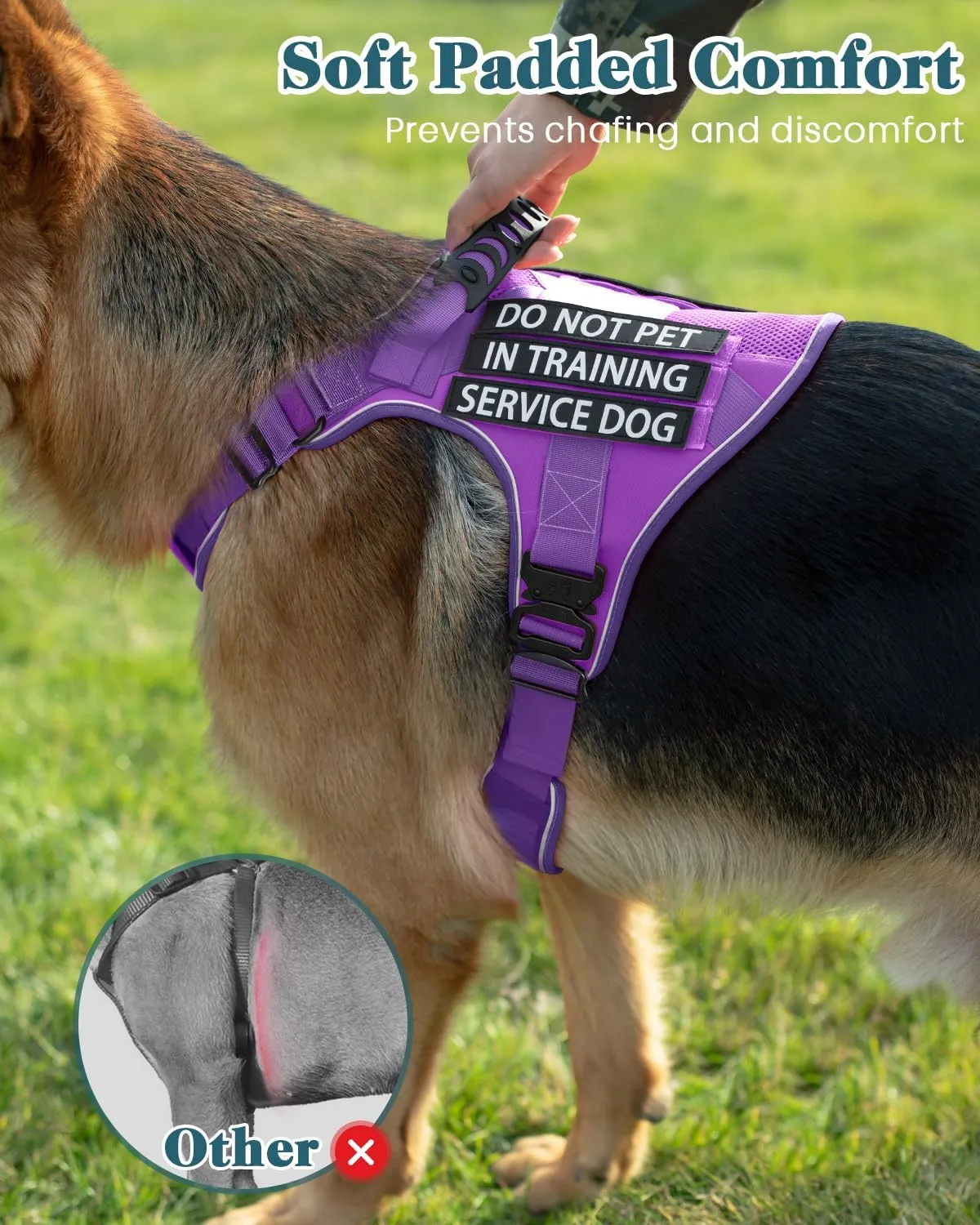 Reflective Service Dog in Training Vest Harness for Medium Large Dogs, Adjustable Heavy Duty Padded Purple Dog Harness, with Front Clip and Metal Buckles Do Not Pet for Training, Hiking