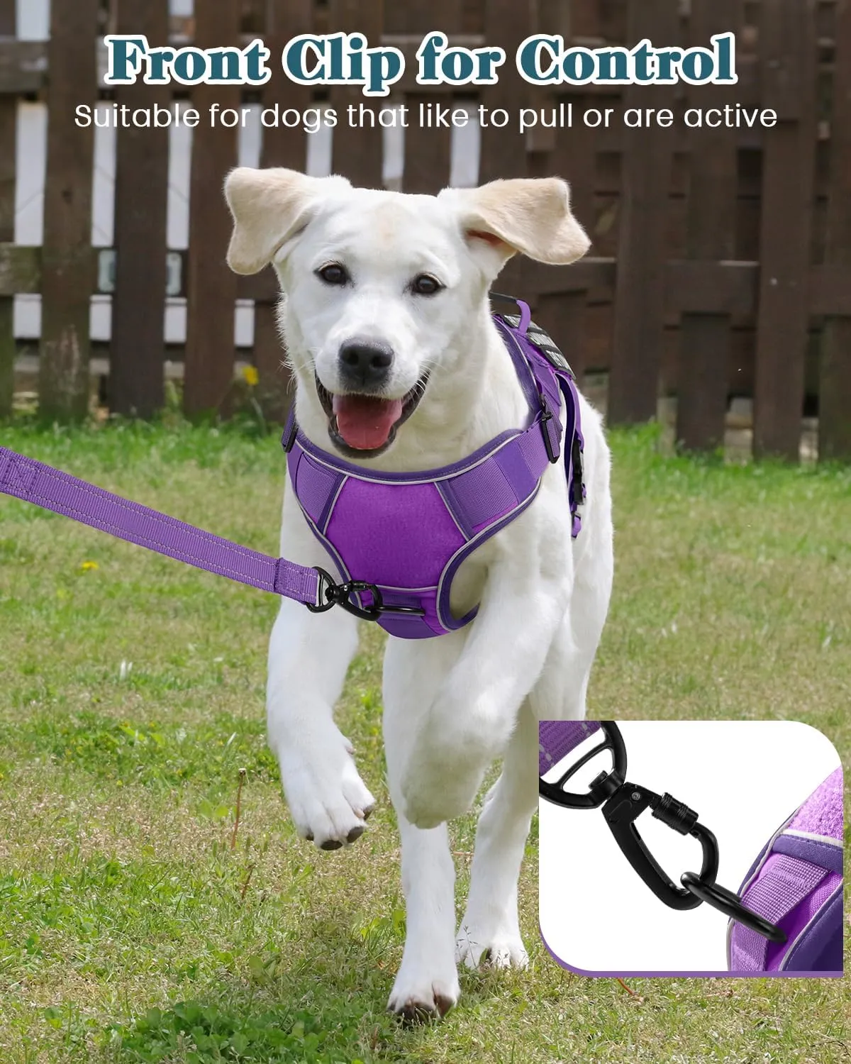 Reflective Service Dog in Training Vest Harness for Medium Large Dogs, Adjustable Heavy Duty Padded Purple Dog Harness, with Front Clip and Metal Buckles Do Not Pet for Training, Hiking