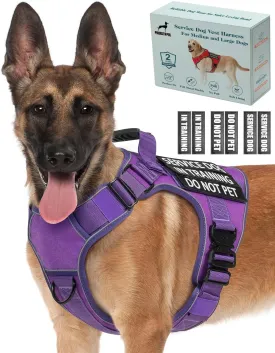Reflective Service Dog in Training Vest Harness for Medium Large Dogs, Adjustable Heavy Duty Padded Purple Dog Harness, with Front Clip and Metal Buckles Do Not Pet for Training, Hiking