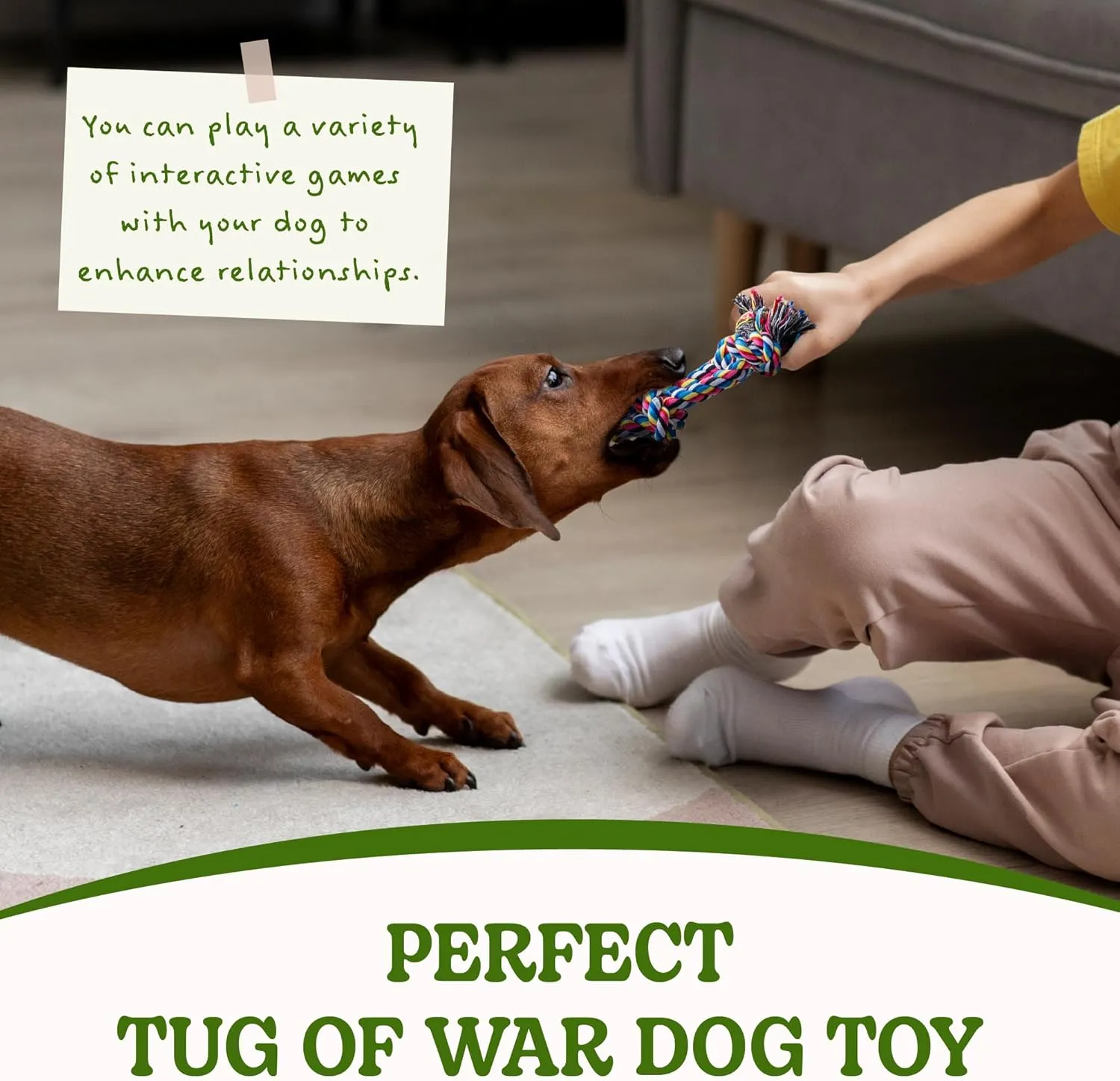 SHARLOVY Puppy Teething Toys for Small Dogs, 2 Pack Cotton Dog Rope Toy for Small Breed Aggressive Chewers, Interactive Puppy Playing Kit with Teething Rope, Tug-of-War