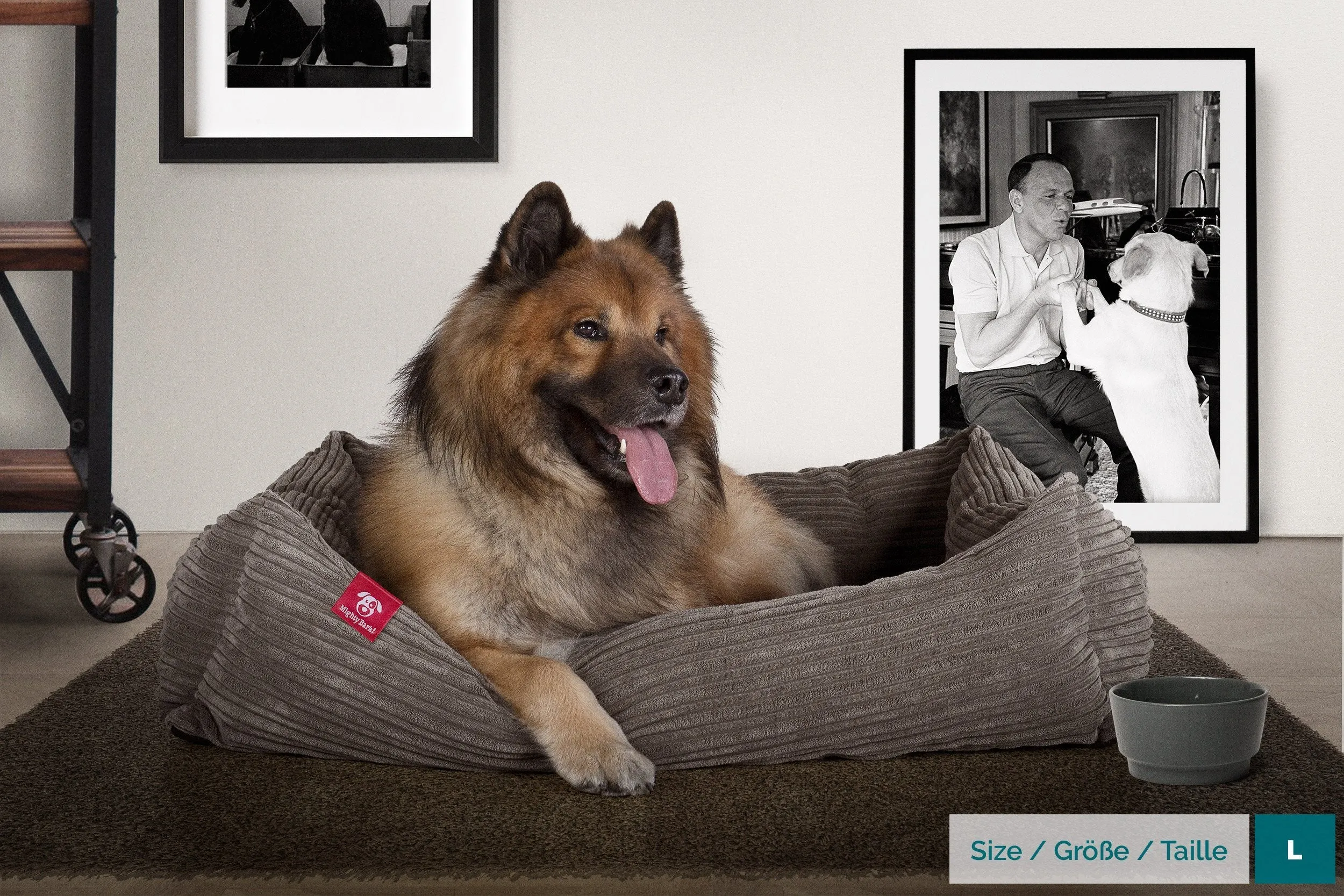 The Nest - Orthopedic Memory Foam Dog Bed - Cord Graphite Grey