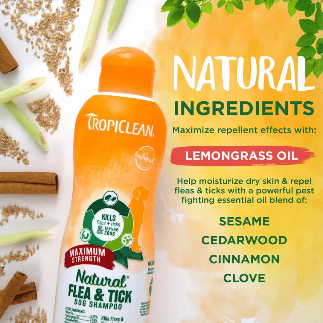 TropiClean Maximum Strength Natural Flea & Tick Dog Shampoo