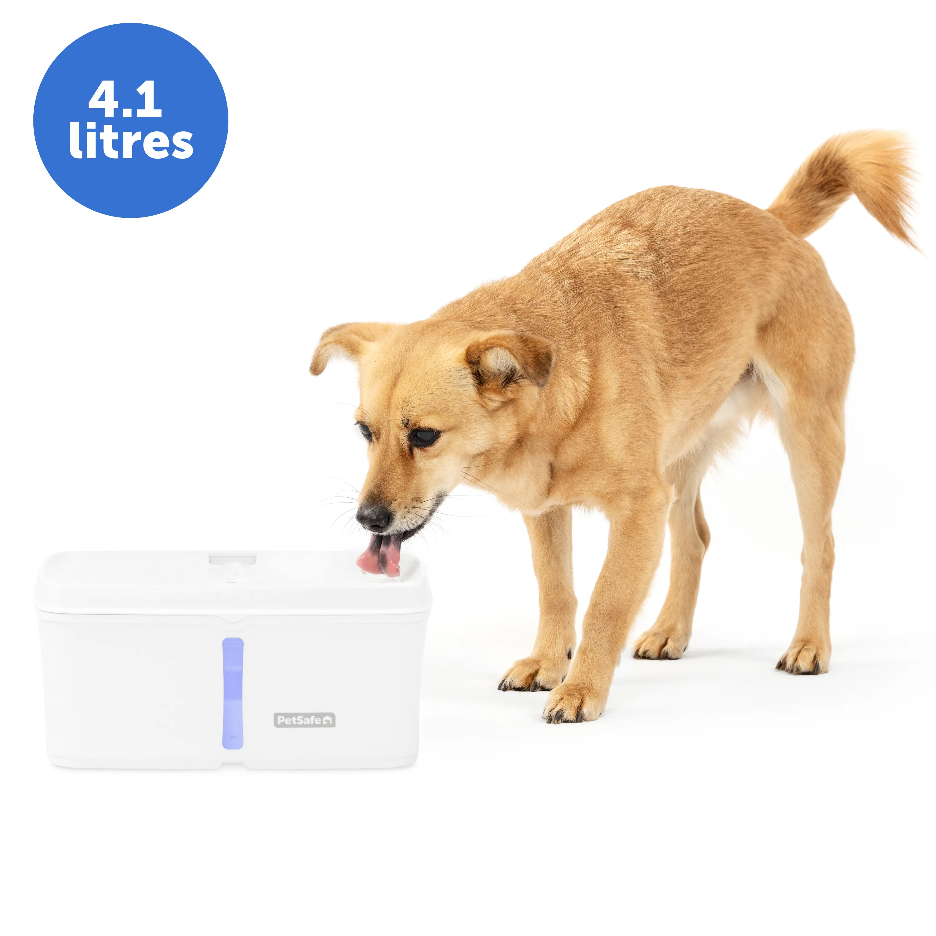 Viva™ Pet Fountain, 4.1 Litre