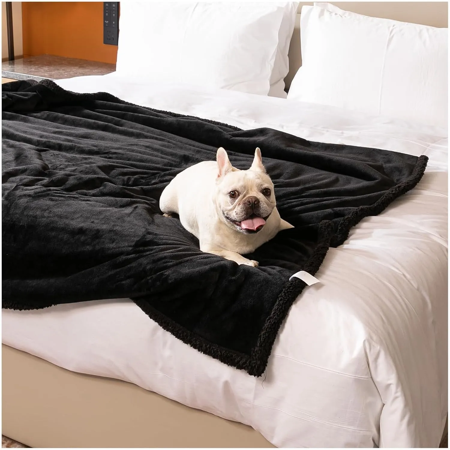Waterproof Dog Blanket Reversible Pet Bed Cover Puppy Blankets Leakproof Sofa Couch Washable Cover Cat Fluffy Black Pet Blanket for Warm-XL